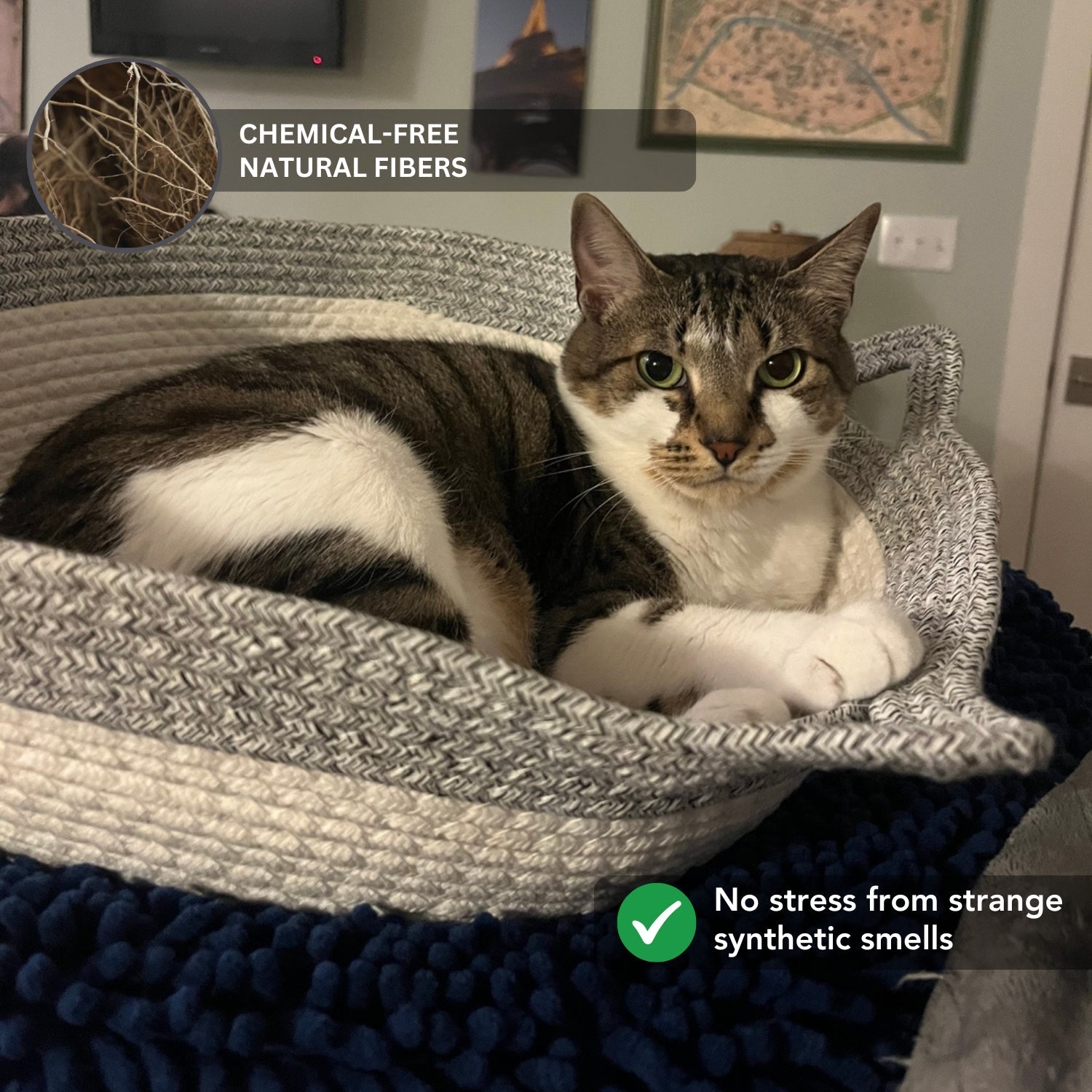 Klynein Handwoven Cat Basket